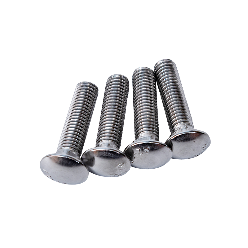 SS304 DIN603 M12 Fincan Başlı Kare Boyun Cıvataları